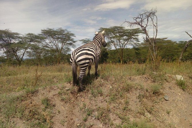 Amboseli Day Trip from Nairobi - Entering Amboseli National Park and getting into game drive mode