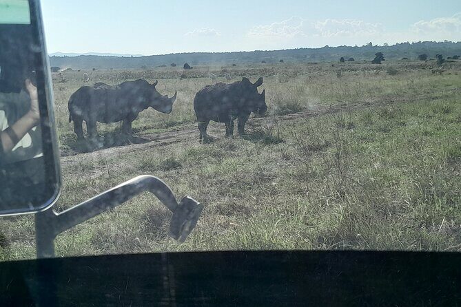 Amboseli day trip with pick up - Group size, timing, and comfort: the small details that change the day