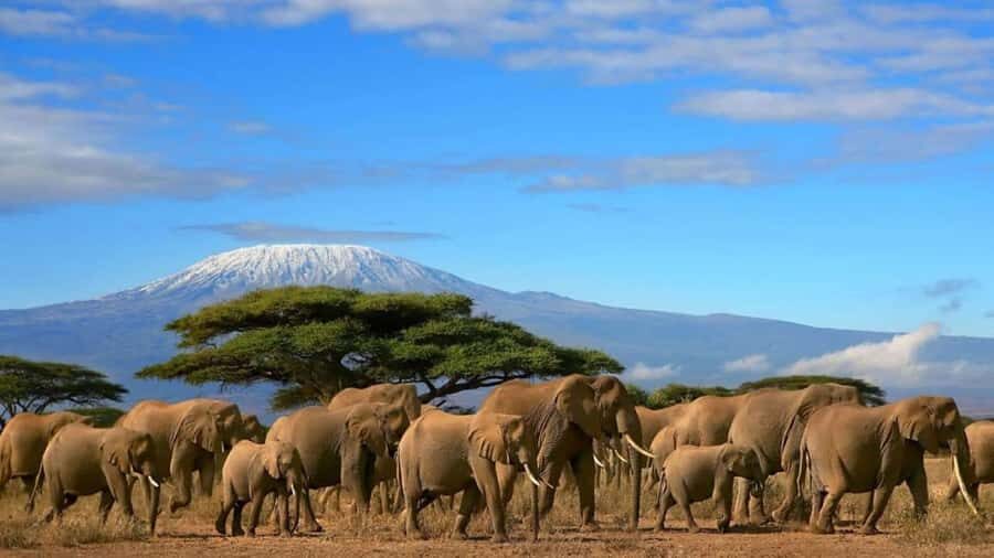 Amboseli National Park 3-Day Safari from Nairobi - Price and Logistics: what you’re really paying for