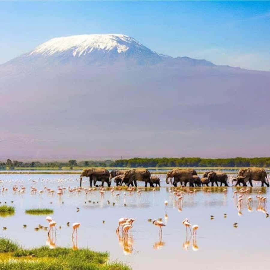Amboseli National Park Day Trip and Maasai Village Visit - Mount Kilimanjaro Views: Timing Is Everything for That Big-Horizon Moment