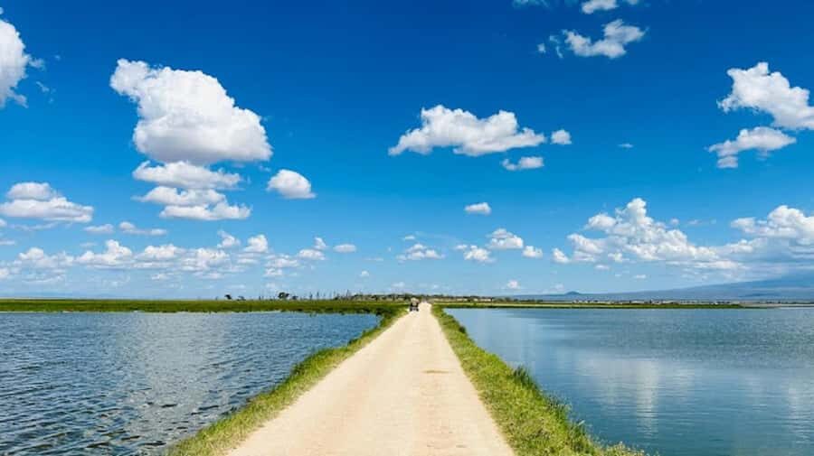 Amboseli National Park Day Trip and Maasai Village Visit - Price and Value: What $194 Covers, and What Can Change the Final Cost