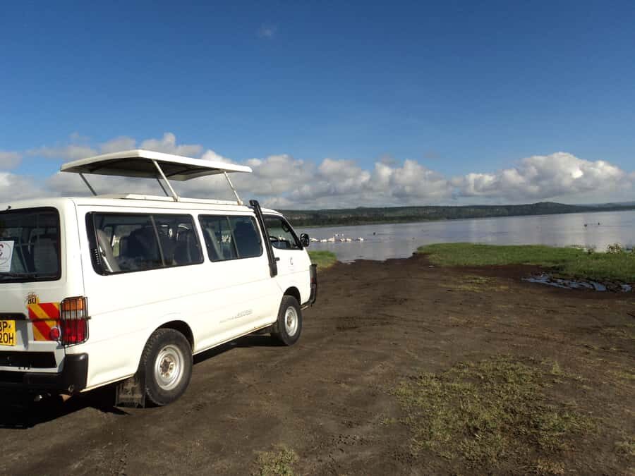 Amboseli National Park Day Trip from Nairobi - From Nairobi at 4:30 AM: Timing That Shapes Your Wildlife Chances