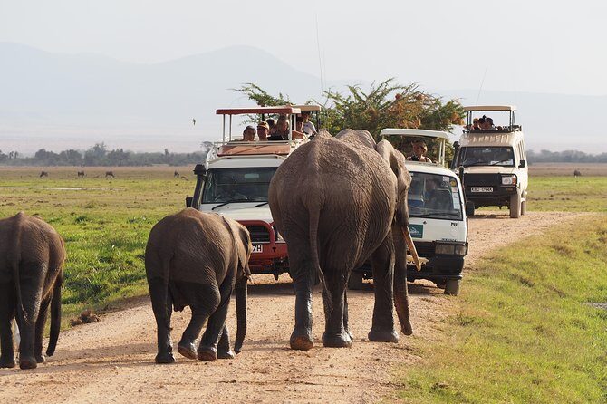 Amboseli National Park Full Day Guided Tour - Key Highlights You’ll Care About