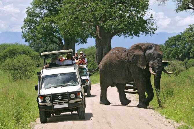 Amboseli National Park Full Day Guided Tour - The 5AM Pickup: How the Drive Shapes Your Whole Day