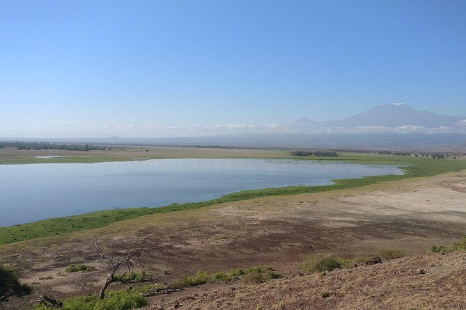 Amboseli Overnight Trip - Why Amboseli Works: Elephants First, Then The Rest