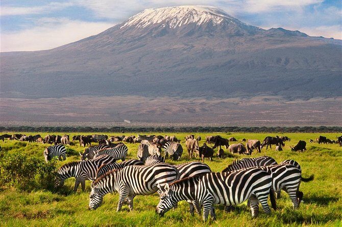 Amboseli Park & Kilimanjaro views Day tour - Price and value: what you pay $200 for, and what you still need to budget