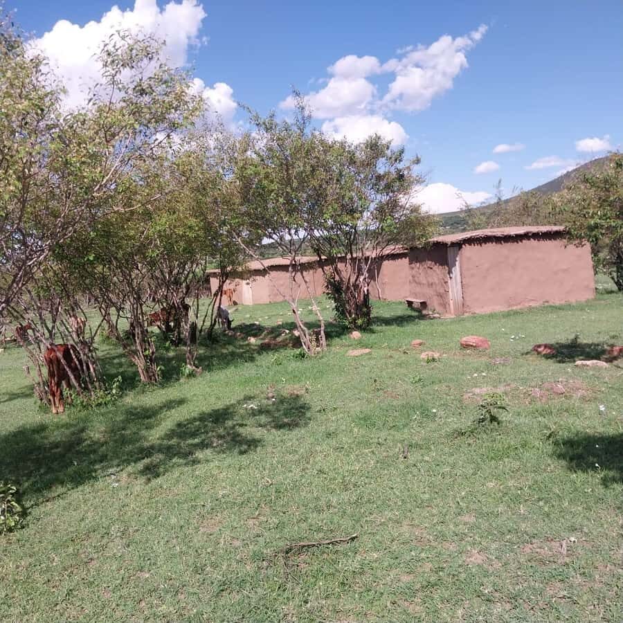 Amboseli Wildlife Day Tour And Masai Village Visit - Amboseli and Kilimanjaro: The Whole Reason This Tour Exists