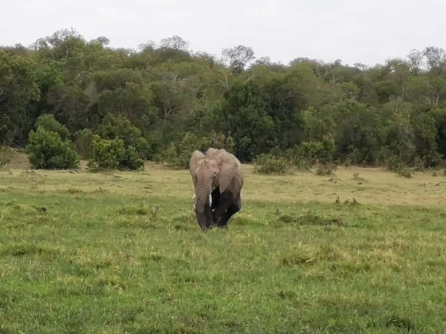 Amboseli Wildlife Day Tour And Masai Village Visit - Observation Hill: The View That Helps You Understand the Park