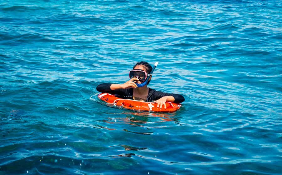 Blue Safari: Snorkeling at Watamu Marine Park & Seafood - Watamu Marine Park: A Big Water Day for Reef Lovers