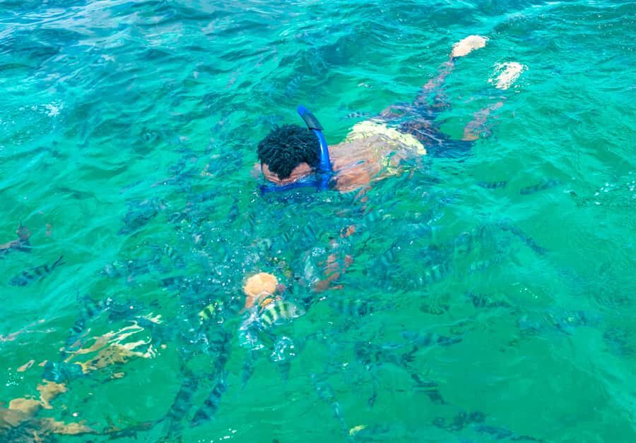 Blue Safari: Snorkeling at Watamu Marine Park & Seafood - The Boat Part: Glass-Bottom Views and Time on the Water