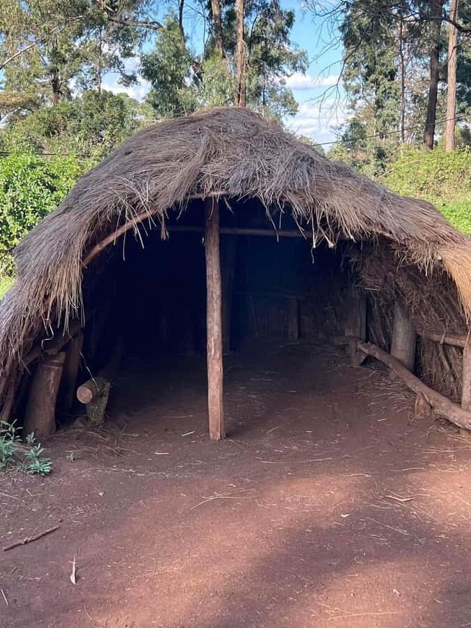 Bomas Of Kenya Cultural Experience - Should you book Bomas of Kenya cultural experience?