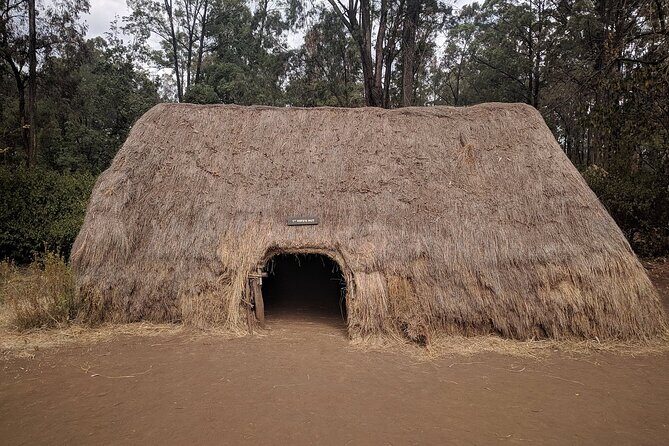Bomas of Kenya Half-Day Tour from Nairobi - Who this tour fits best (and when you might choose differently)