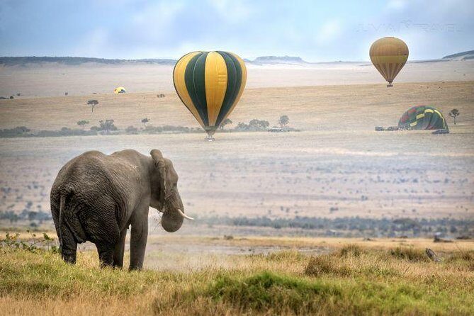 Classic Best Adventure In Kenya And Tanzania 2025 - Lake Elementaita and Naivasha rest day (Day 11): a calmer rhythm before Crescent Island