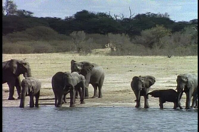 Classic Best of Kenya - How the safari vehicle, meals, and guide skills boost your day