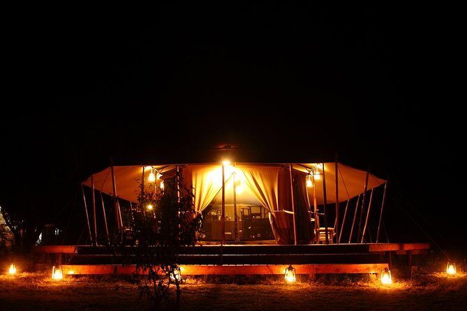 Classic Luxury 4 X 4 Masai Mara Safari - Day 2: a whole-day game drive with picnic lunch in the wild