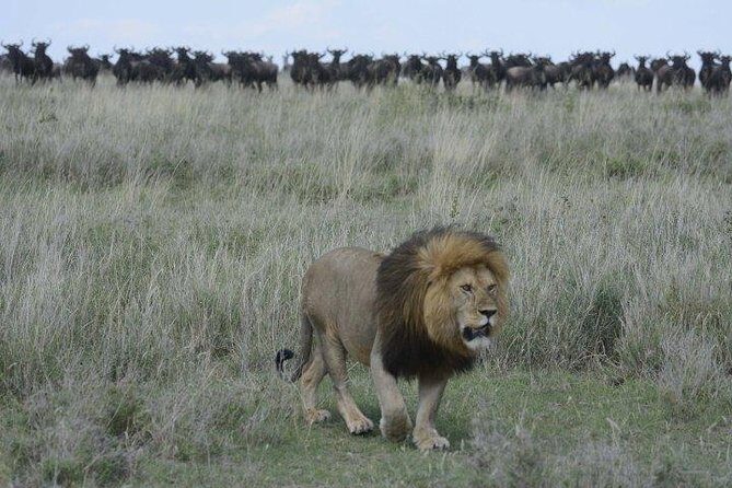Classic Luxury 4 X 4 Masai Mara Safari - Day 3: camp activities, plus the optional balloon safari with champagne breakfast