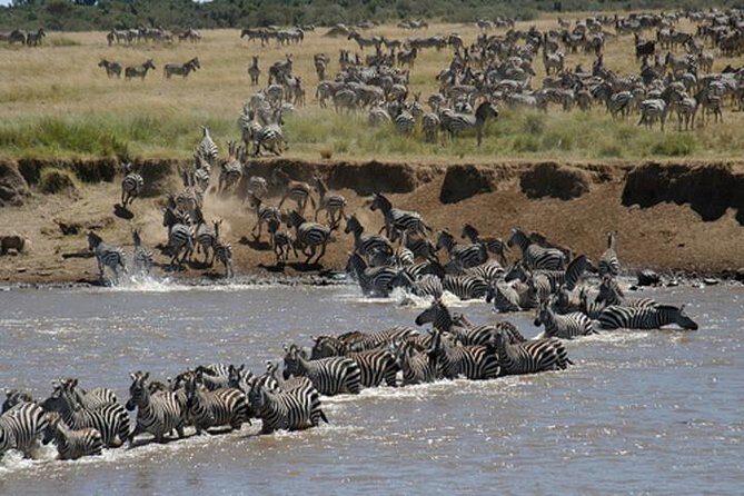 Classic Luxury 4 X 4 Masai Mara Safari - Price and what $1,700 actually covers for 4 days