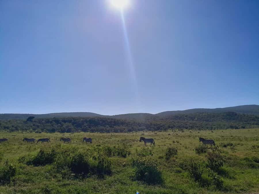 Daily Hell's gate National Park Ebike Cycling - Time management: what the schedule feels like in real life