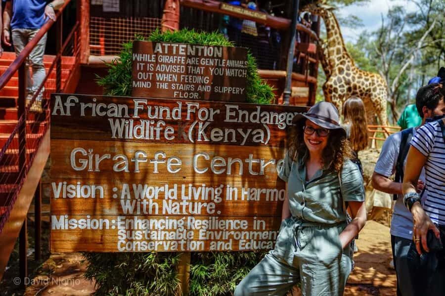 David Sheldrick Wildlife Trust & Giraffe Center with Lunch - At the David Sheldrick Wildlife Trust & Giraffe Center: up close with conservation