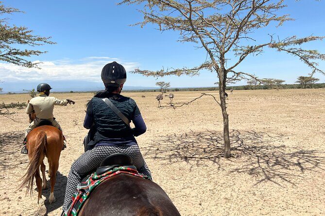 Day safari to Olpejeta Rhino conservancy - White rhino viewing: ranger-led, and built for real proximity