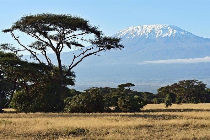 Day Tour - Amboseli National Park From Nairobi - Open-Roof Safari Van Tips That Improve Your Photos