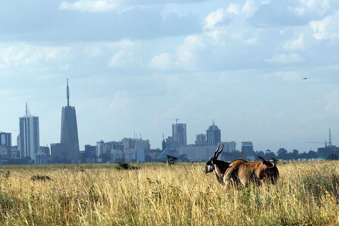 Day Tour at Nairobi National Park and Giraffe Centre - Key things to know before you go