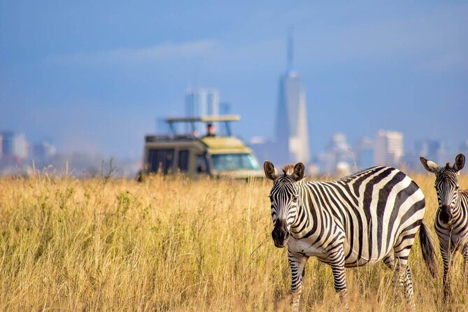 Day Tour at Nairobi National Park and Giraffe Centre - How the early 6:00 am start actually plays out