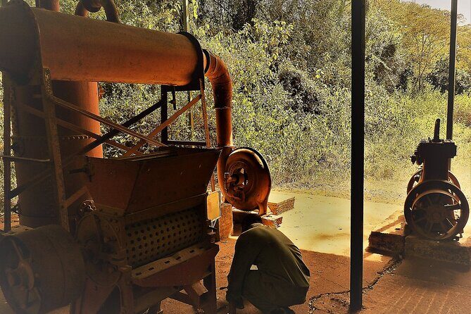 Day Tour Giraffe Center, Karen blixen and Lunch at Carnivore - Who should book this Nairobi day tour?