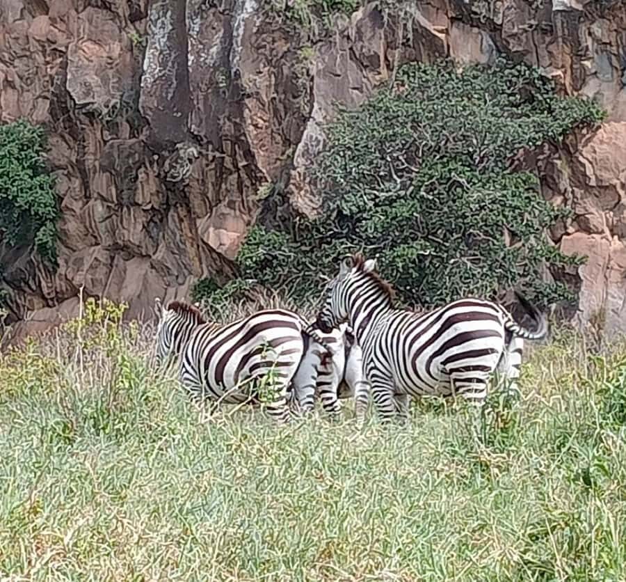 DAY TOUR- LAKE NAIVASHA AND HELL'S GATE PARK-WITH PARK FEES - Hell’s Gate and Naivasha: the combo that makes sense