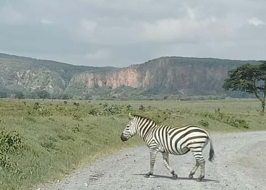 DAY TOUR- LAKE NAIVASHA AND HELL'S GATE PARK-WITH PARK FEES - Entering Hell’s Gate: 2 hours of biking safari
