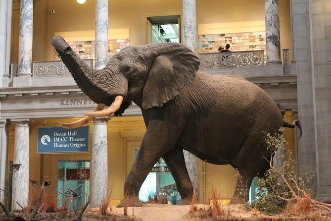 Day Tour Nairobi Museum, Giraffe Centre & Nairobi National Park - Timing and pacing: what a 9-hour day feels like