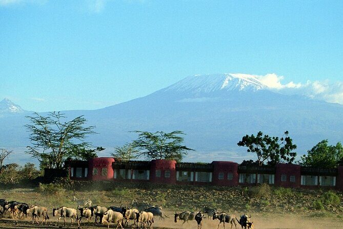 Day tour to Amboseli national park - Entering Amboseli: what to expect once you arrive