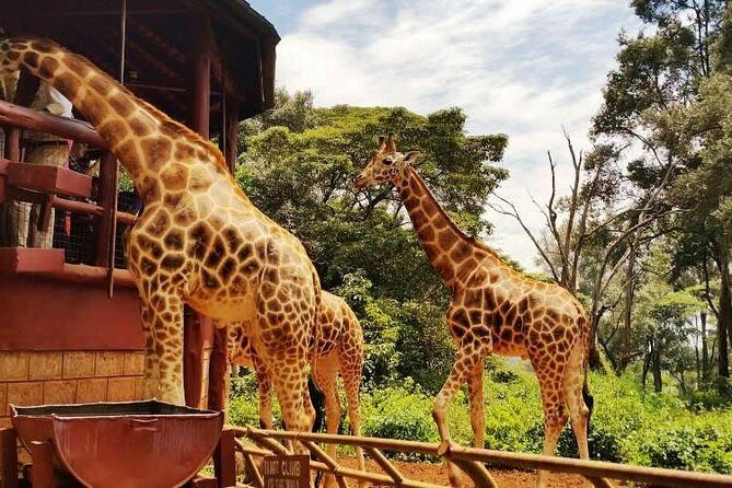 Day tour to Giraffe Center and Karen Blixen Museum - KOBE tough beads factory (Kazuri): pottery and bead-making you can actually watch