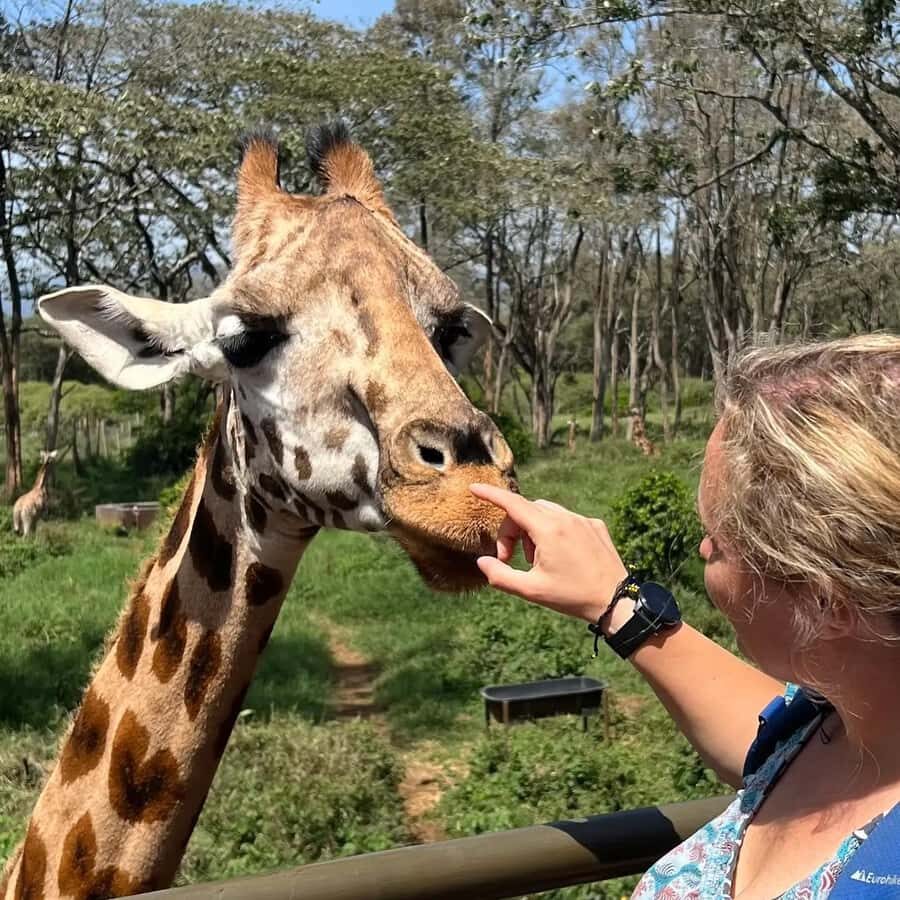 Day Tour to Giraffe Center and Karen Blixen Museum - Price and Value: What $63 Buys in This 4-Hour Plan