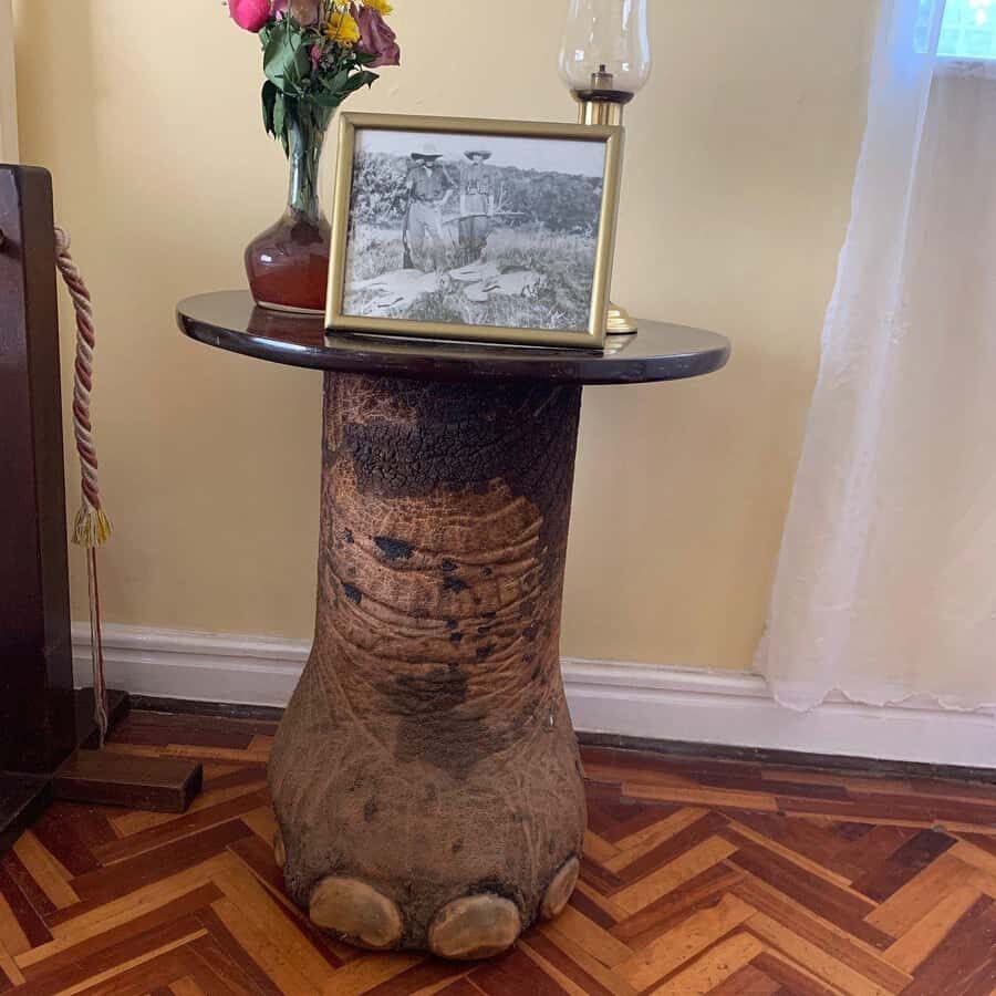 Day Tour to Giraffe Center and Karen Blixen Museum - The Practical Reality: What You’ll Like Most (and When It’s Not Ideal)