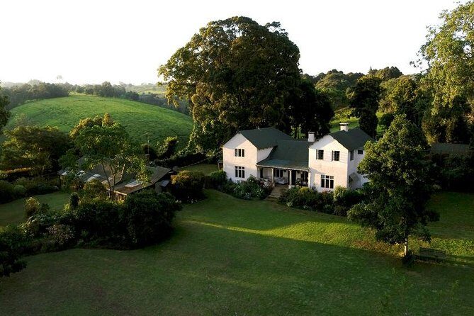 Day Tour To Kiambethu Tea Farm in Limuru - Price and What You’re Actually Getting for $115