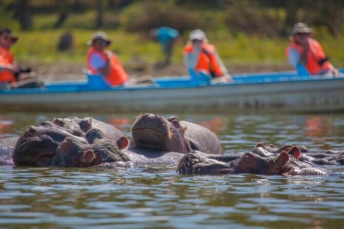 Day Tour to Lake Naivasha, Hell's Gate and Spa - Fischer’s Tower and Olkaria: Geothermal Kenya, Explained Simply