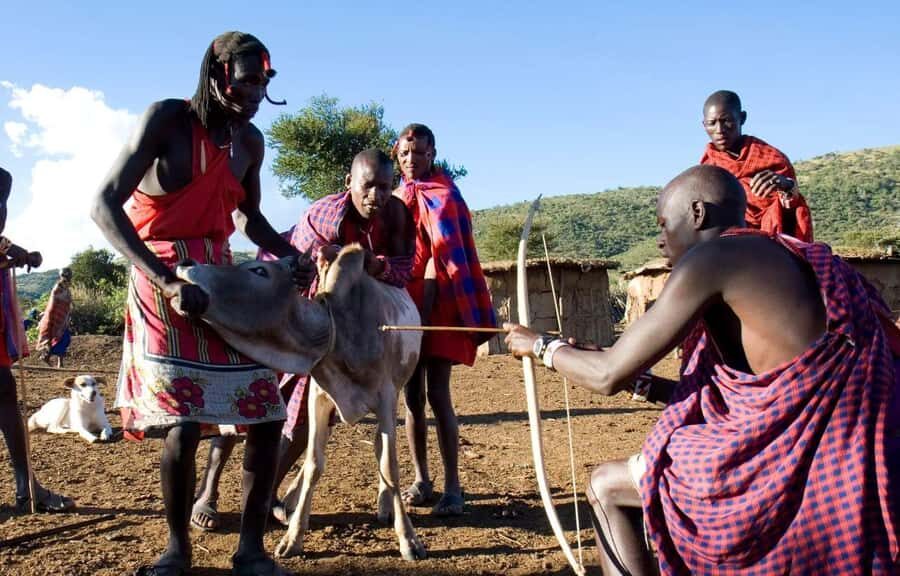Day Tour to Masai Village From Nairobi - Meeting the People: Warm Welcome, with a Note on Authenticity