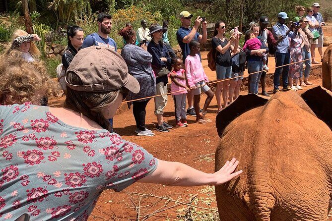 Day Tour to Nairobi national park, Elephants, and Giraffe Center - Nairobi National Park Safari Drive: A Compact Chance at Big Wildlife