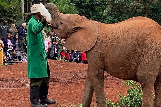 Day Tour to Nairobi national park, Elephants, and Giraffe Center - Price and Value: The Real Cost Breakdown for This Nairobi Day