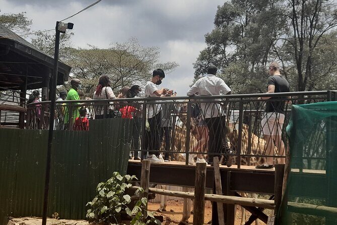 Day Tour to Nairobi national park, Elephants, and Giraffe Center - Who This Tour Is Best For