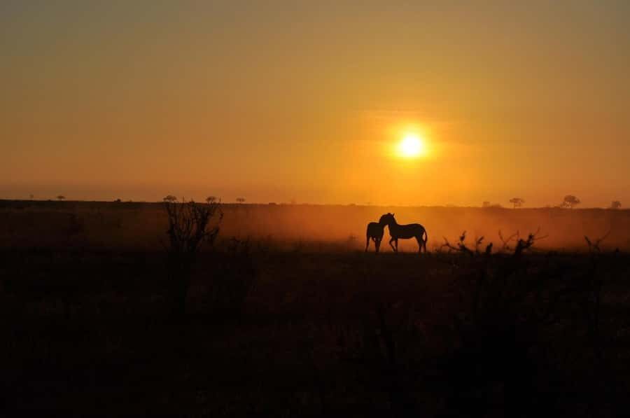 DAY TOUR TO TSAVO EAST NATIONAL PARK FROM MOMBASA/DIANI - Price and Value at $355: What Makes It Worth It
