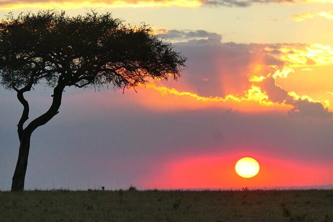 Day Tour to Tsavo East National Park from Mombasa or Diani - Aruba Dam: a targeted wildlife stop (especially in dry season)