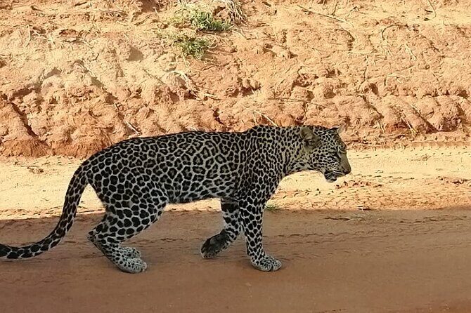 Day Tour to Tsavo East National Park from Mombasa or Diani - Crossing into Tsavo East via Bachuma Gate