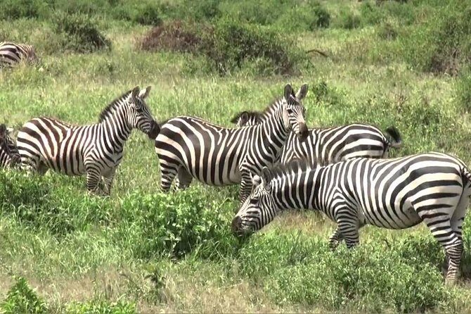 Day Trip -Hells Gate & Lake Naivasha With Boat Ride From Nairobi - Walking Through Hell’s Gate: Cliffs, Gorges, and Why the Park Works