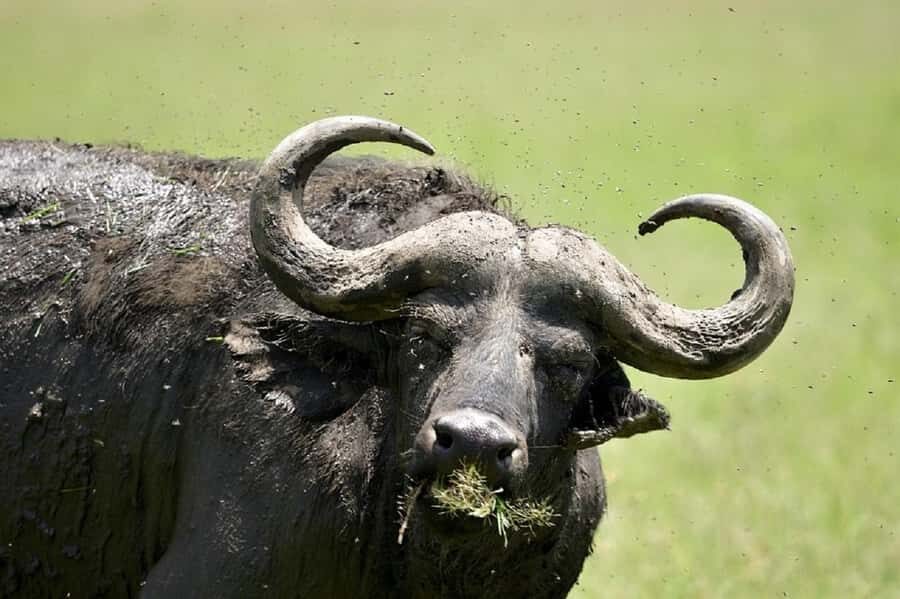 Day trip lake Naivasha and Hells gate - Price and what you’re really paying for