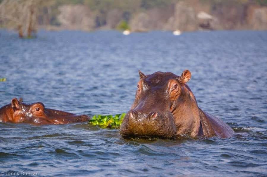 Day trip lake Naivasha and Hells gate - Guides and the small moments that make it worth it