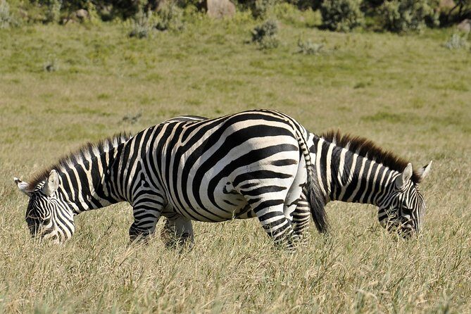 Day Trip To Crescent Island And Hells Gate National Park - A Nairobi Morning That Turns Into Three Nature Stops