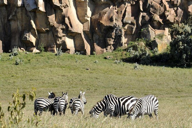 Day Trip To Crescent Island And Hells Gate National Park - The Best Part: Mixed-Mode Wildlife Viewing (Not Just One Style)