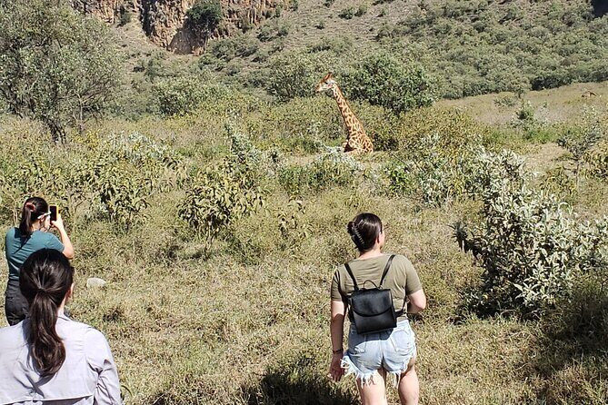 Day trip to Hells Gate National Park with boat ride on Lake Naivasha - Why this Hell’s Gate + Lake Naivasha day trip makes sense